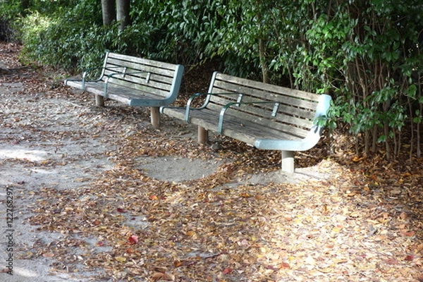 Fototapeta 秋のテーマ