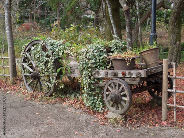 Fototapeta Old wagon