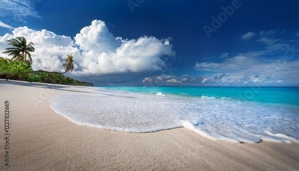 Obraz beach with white sand, cloud, palm tree and wave