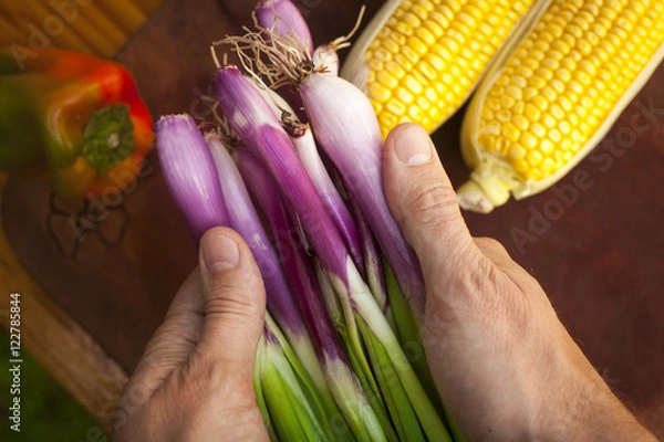 Fototapeta Hands holding fresh spring onions over wooden table