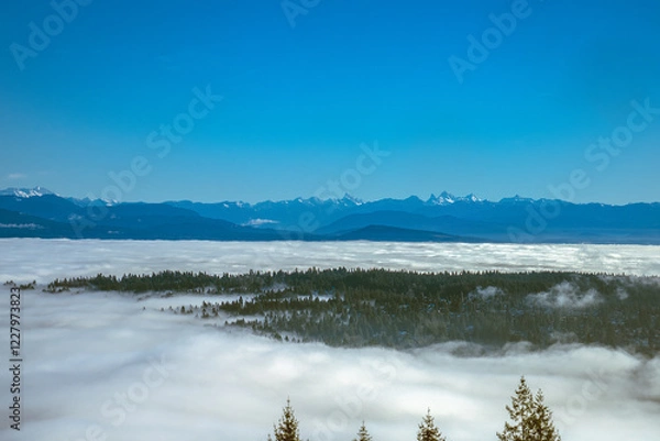 Fototapeta Forest in valley partially obscured by cloud inversion with alpine mountains on horizon.