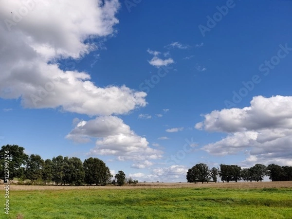 Fototapeta landscape with blue sky and clouds