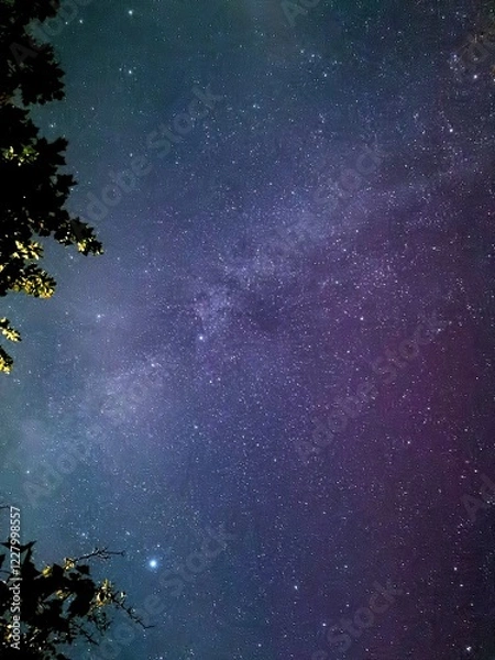 Fototapeta starry night sky