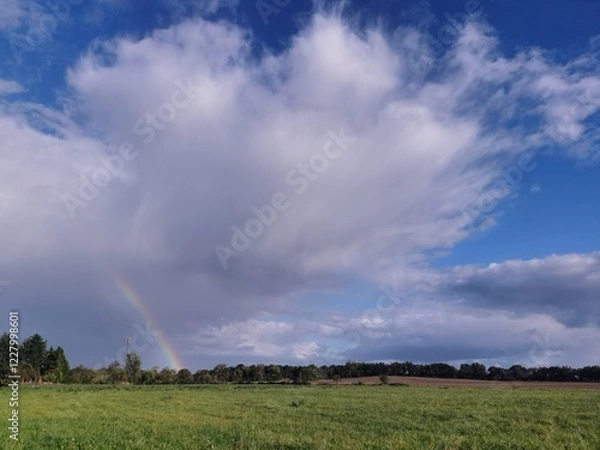 Fototapeta rainbow over the field