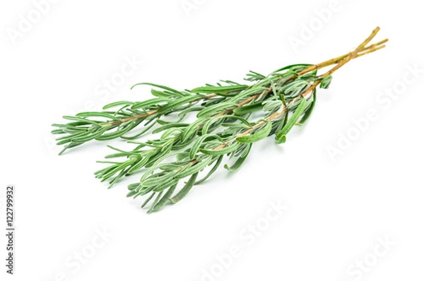 Obraz Green lavender branches