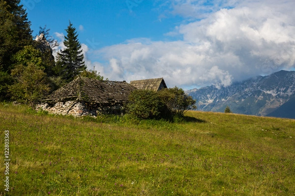 Obraz Romanian Carpathians mountains