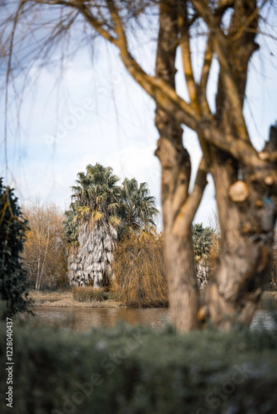Fototapeta pine tree in autumn by the lake