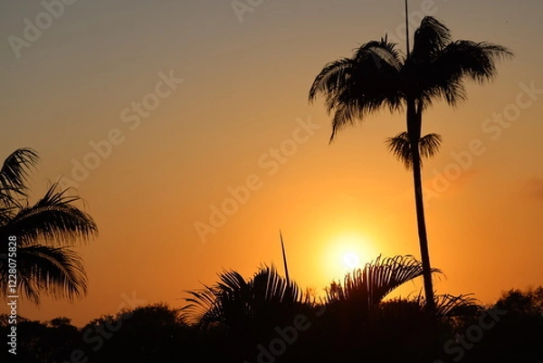 Fototapeta Reclining sun