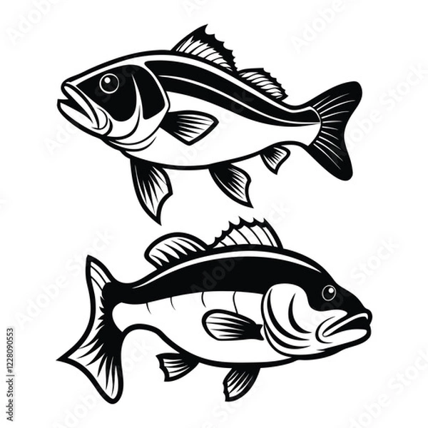 Fototapeta Set of black and white of largemouth bass fish vector...