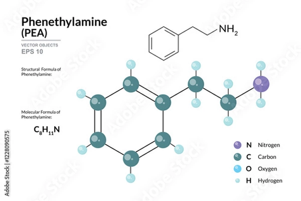 Fototapeta Phenethylamine PEA. Structural Chemical Formula and 3d Model of Molecule. C8H11N. Atoms with Color Coding. Vector graphic Illustration for educational materials, scientific articles, and presentations
