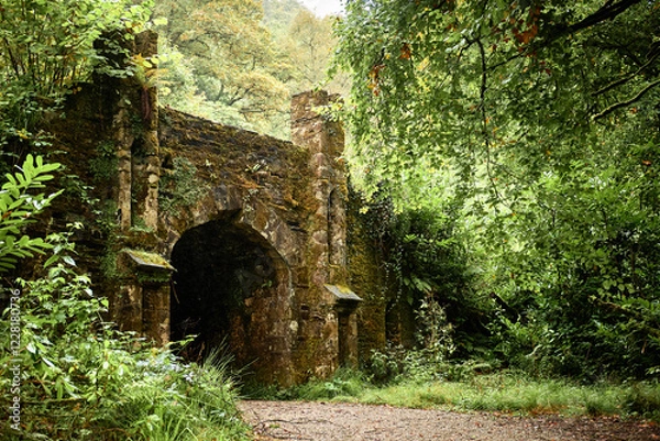 Fototapeta A moss-covered stone archway at Ballysaggartmore Towers in Lismore, County Waterford, Ireland. This historic structure is surrounded by lush greenery, creating a mystical and enchanted forest 