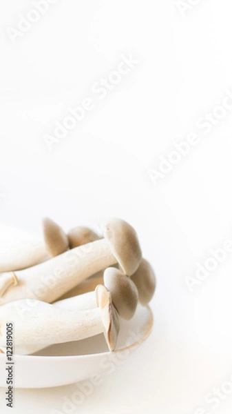 Fototapeta しめじ