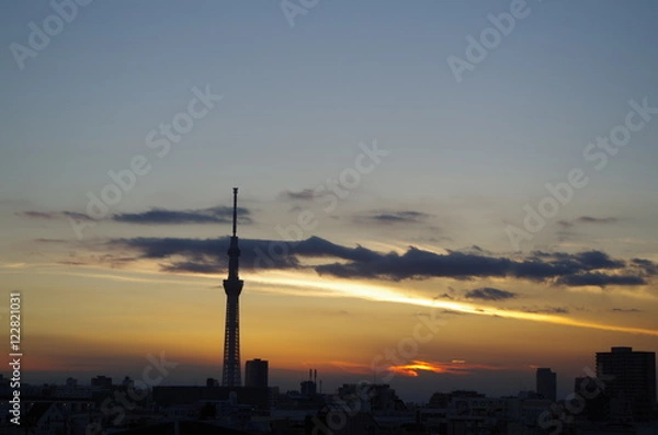 Fototapeta 夕暮れのスカイツリー