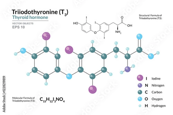Fototapeta Triiodothyronine T3 Thyroid Hormone. Structural Chemical Formula and 3d Model of Molecule. C15H12I3NO4. Atoms with Color Coding. Vector graphic Illustration for educational materials