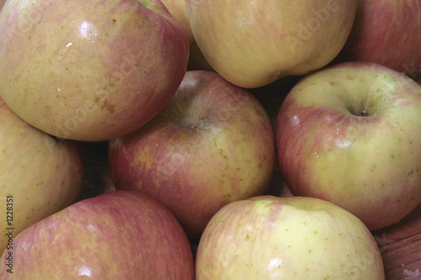 Obraz braeburn apples