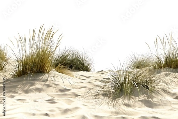 Fototapeta Realistic High-Resolution Sand Dunes with Coastal Grass – Natural Beach Landscape Illustration