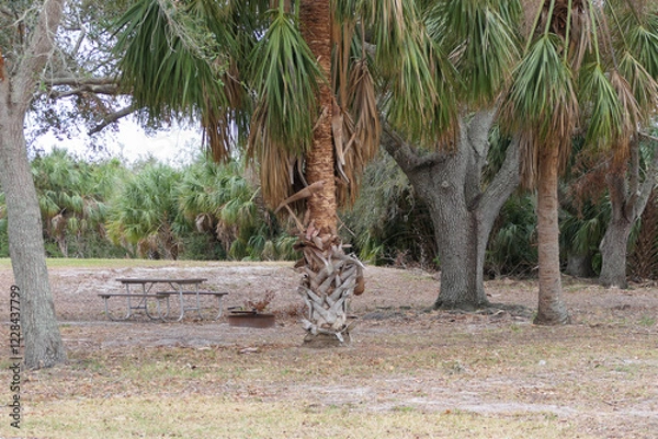 Obraz Picnic Table for camping in a Florida RV Park