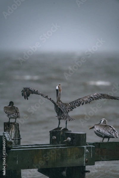 Obraz wildlife in storm