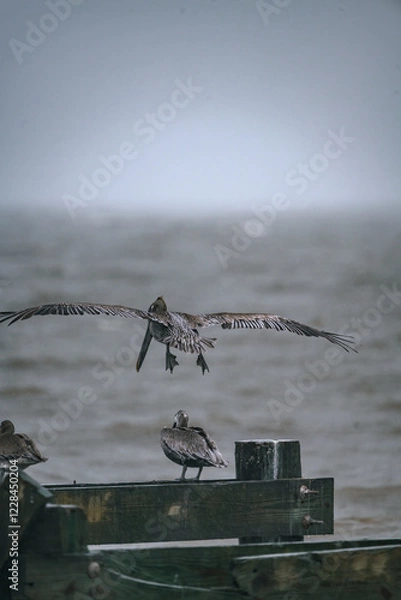 Obraz wildlife in storm