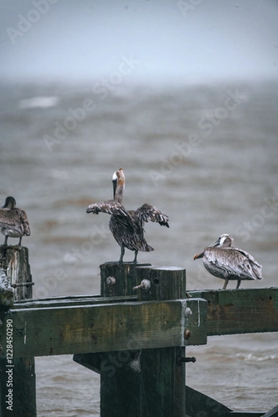 Obraz wildlife in storm