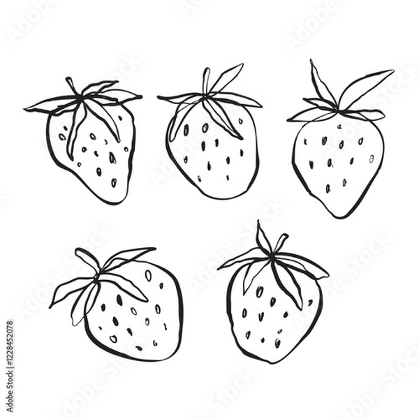 Fototapeta set of strawberry line art vector illustration hand drawn doodles with leaves 