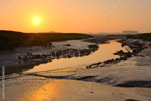 Fototapeta sunset on the beach