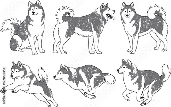 Fototapeta 様々なポーズのシベリアンハスキーの手書きイラストセット