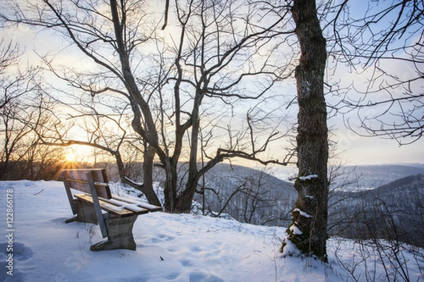 Obraz Winterlandschaft