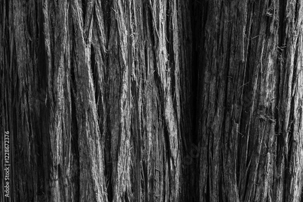 Fototapeta black and white wet old tree bark textured and vibrant perfect for nature-themed texture
