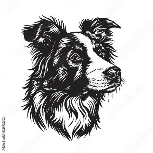 Obraz Illustration vector of border collie dog head in dramatic black and white woodcut style on a white background. Easy editable layere. Pet. Animals.