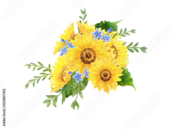 Obraz ひまわりとブルースター