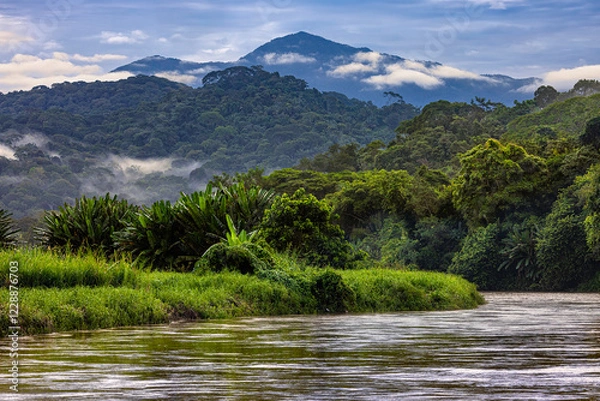 Fototapeta Costa Rica. Rio Grande de Tarcoles estuary area (mouth of the Tarcoles River) surrounded by rainforest and the southern slopes of the Cordillera Central volcanic range