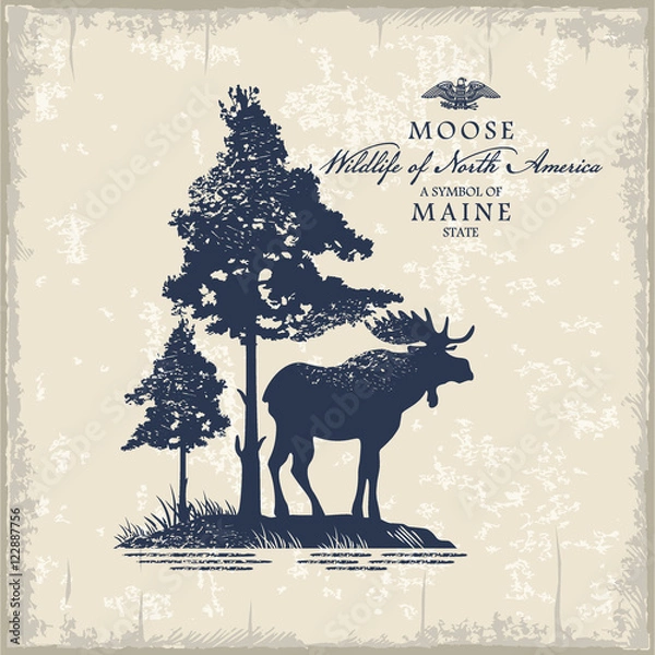 Obraz Лось под сосной, животное Северной Америки, символ штата Мэн , винтаж