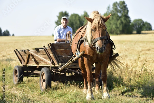 Obraz Horse & Cart