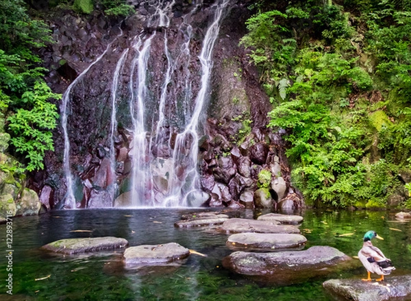 Obraz Waterfall Hakone