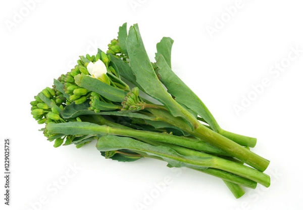 Obraz アンチョビ菜