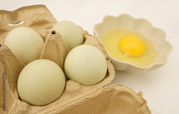 Obraz アローカナの卵