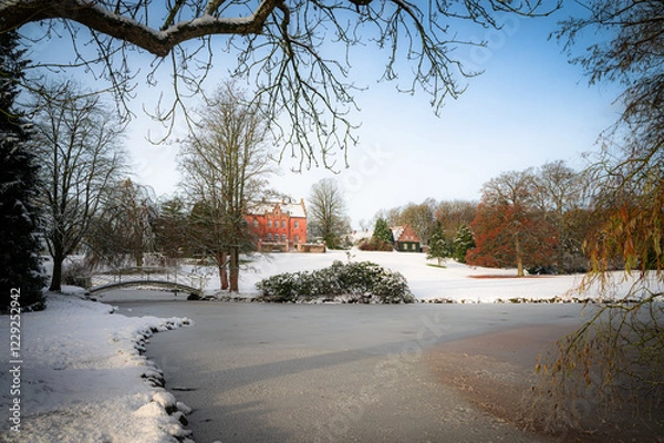 Obraz winter in the park