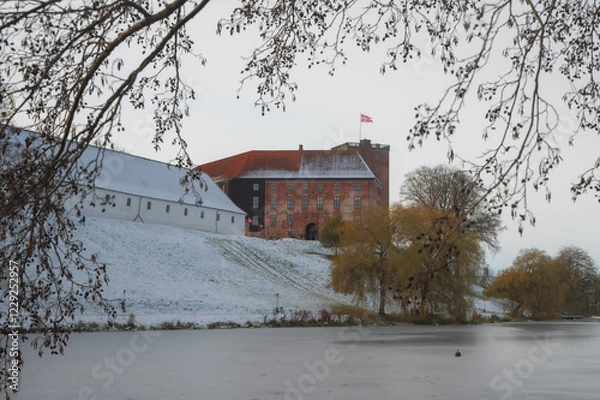 Obraz Old castle in Denmark