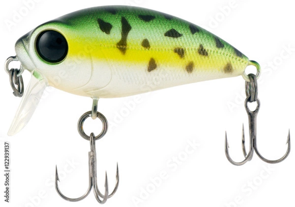 Obraz Fishing bait on white