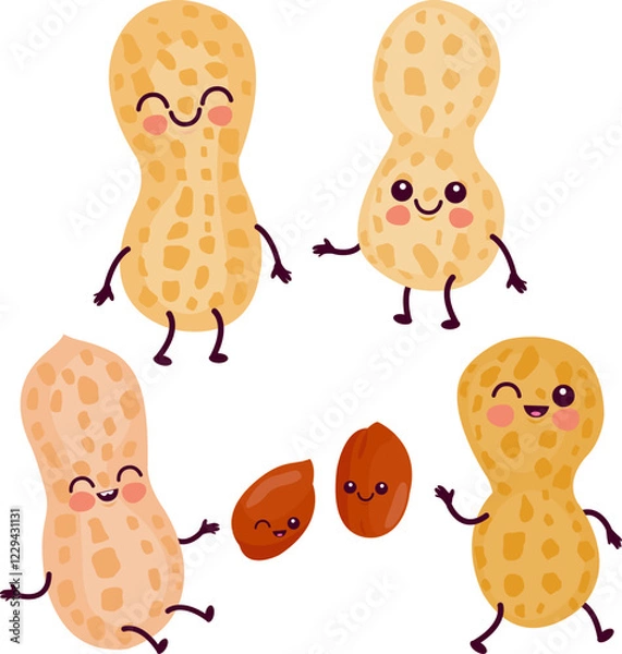 Fototapeta Cute peanut characters. Fresh organic cartoon nuts on white background. Vector illustration set.