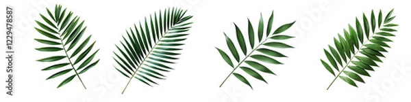 Fototapeta Vibrant Tropical Palm Leaves on Natural Background  Closeup of Green Lush Foliage Fronds in Exotic Jungle or Rainforest Environment  Organic Nature Pattern and Textured Landscape