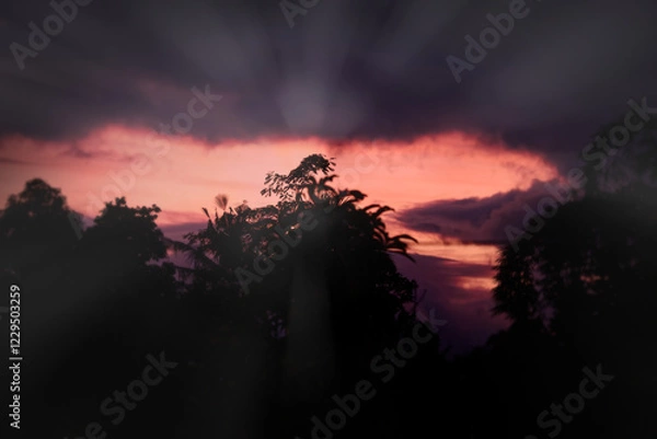 Fototapeta The silhouette of the treetops against the backdrop of an orange sky as the sun is about to set, emitting a soft glow of light., sunset in the forest