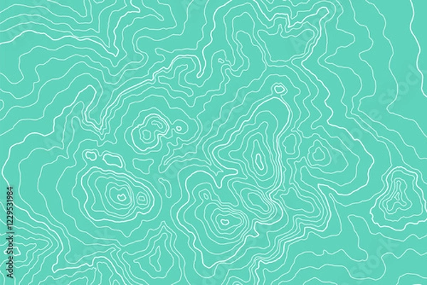 Obraz Contour line map background. Land topography map vector design. Retro topographic elevation line map pattern.