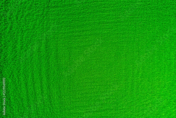 Obraz green grass texture background
