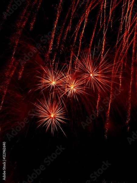 Obraz firework celebration