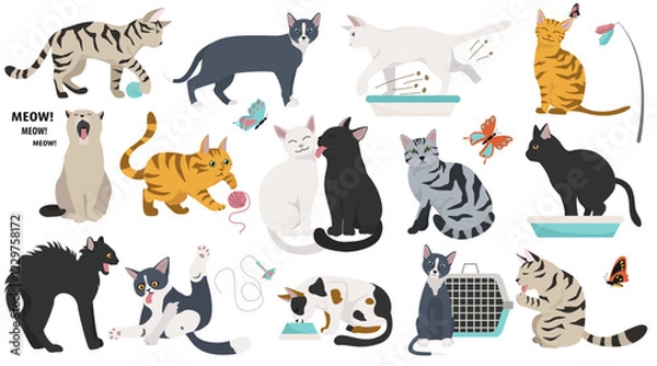 Fototapeta Cartoon cat characters collection. Different cat`s poses, yoga and emotions set. Flat color simple style design. Vector illustration