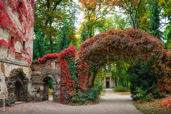 Fototapeta Stone arch in the  sentimental and romantic Arkadia park,  near Nieborow, Central Poland, Mazovia. Garden in the English style
