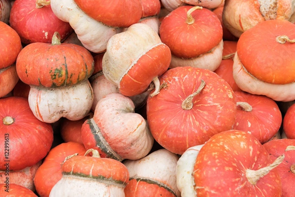 Fototapeta turban squash