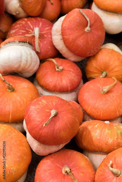 Fototapeta turban squash